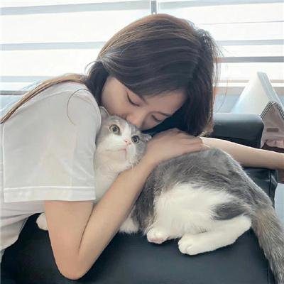 仲夏夜玫瑰